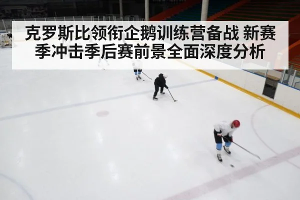 克罗斯比领衔企鹅训练营备战 新赛季冲击季后赛前景全面深度分析 | kaiyun